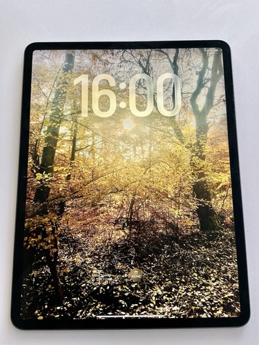 Apple ipad pro gen - 4., 256gb