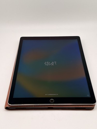 Apple ipad pro 1 gen - pro, 12,9"
