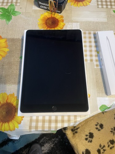 Apple ipad 9th gen - gen, 256gb